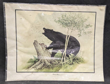 Load image into Gallery viewer, 1969 Canadian Wildlife Reproductions Litho - M.G. Loates - Black Bear - 23"x18"