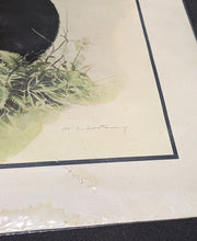 Load image into Gallery viewer, 1969 Canadian Wildlife Reproductions Litho - M.G. Loates - Black Bear - 23"x18"