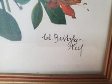 Load image into Gallery viewer, Antique Framed Flower Print - Signed - C