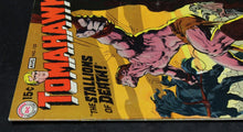 Load image into Gallery viewer, Tomahawk (1950 Series) #123