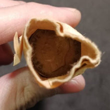 Load image into Gallery viewer, 1951 Canadian Pennies (50 coins per roll) 1 roll