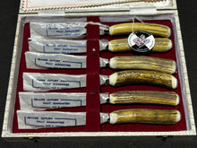 Load image into Gallery viewer, Ashberry Knife Set of 6 with Mint Shape and Fitted Box, EX+