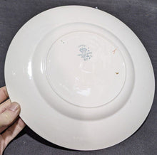 Load image into Gallery viewer, Vintage Johnson Bros Pareek Yellow & Green 10 1/2" Dinner Plate