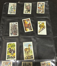 Load image into Gallery viewer, 1960's Nabisco Earth Shaking Events Lots X 17 cards