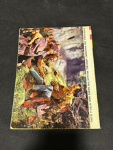 Load image into Gallery viewer, 1965 Gold Key Comics Walt Disney's Robin Hood, VG