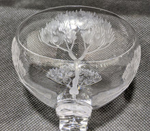 Load image into Gallery viewer, Stuart Crystal Eden Pattern Set of (8) Champagne / Tall Sherbert Glasses 4 1/2"