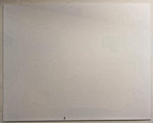 Load image into Gallery viewer, Chicago Blackhawks NHL Team Photo 1961-62 (10&quot;x8&quot;)
