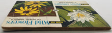 Load image into Gallery viewer, 1970 Illustrations Sticker Book Lot of 4 Complete, Animals, Wild Life, Flower
