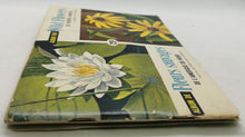 Load image into Gallery viewer, 1970 Illustrations Sticker Book Lot of 4 Complete, Animals, Wild Life, Flower

