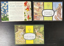 Load image into Gallery viewer, 1972-1974 Sticker Book Lot of 3, Wild Flower, Indians, Animals
