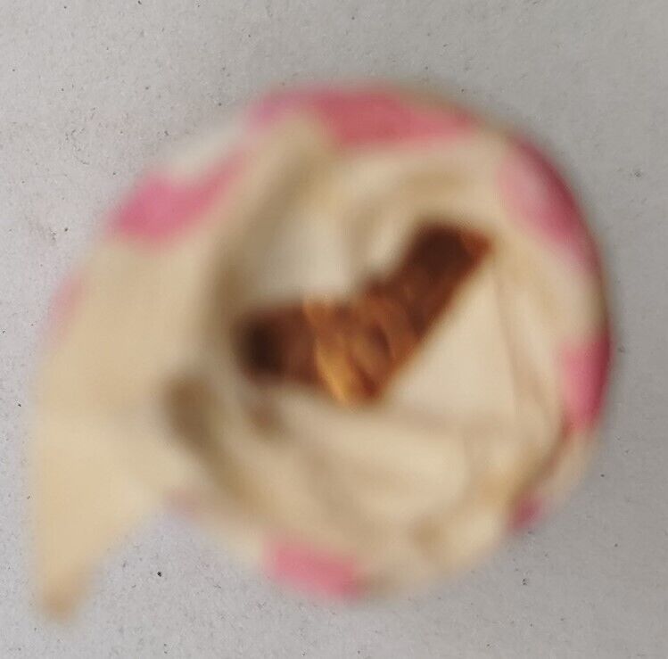 1979 Canadian Penny CIBC Bank Machine Roll White Paper Red (50 ct) #31