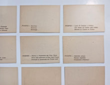 Load image into Gallery viewer, POMPEII 20 Photo Print (incomplete, missing 1 photo)
