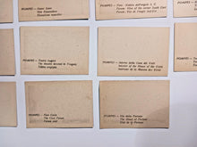 Load image into Gallery viewer, POMPEII 20 Photo Print (incomplete, missing 1 photo)
