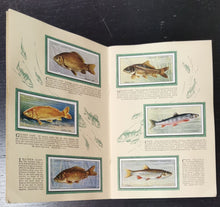 Load image into Gallery viewer, 1935 John Player Cigarette Card British Fresh-Water Fishes
