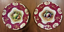 Load image into Gallery viewer, 12 Unique Fruit Pattern by F Howard, Hammersley Bone China Plate Set
