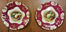 Load image into Gallery viewer, 12 Unique Fruit Pattern by F Howard, Hammersley Bone China Plate Set
