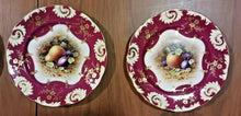 Load image into Gallery viewer, 12 Unique Fruit Pattern by F Howard, Hammersley Bone China Plate Set
