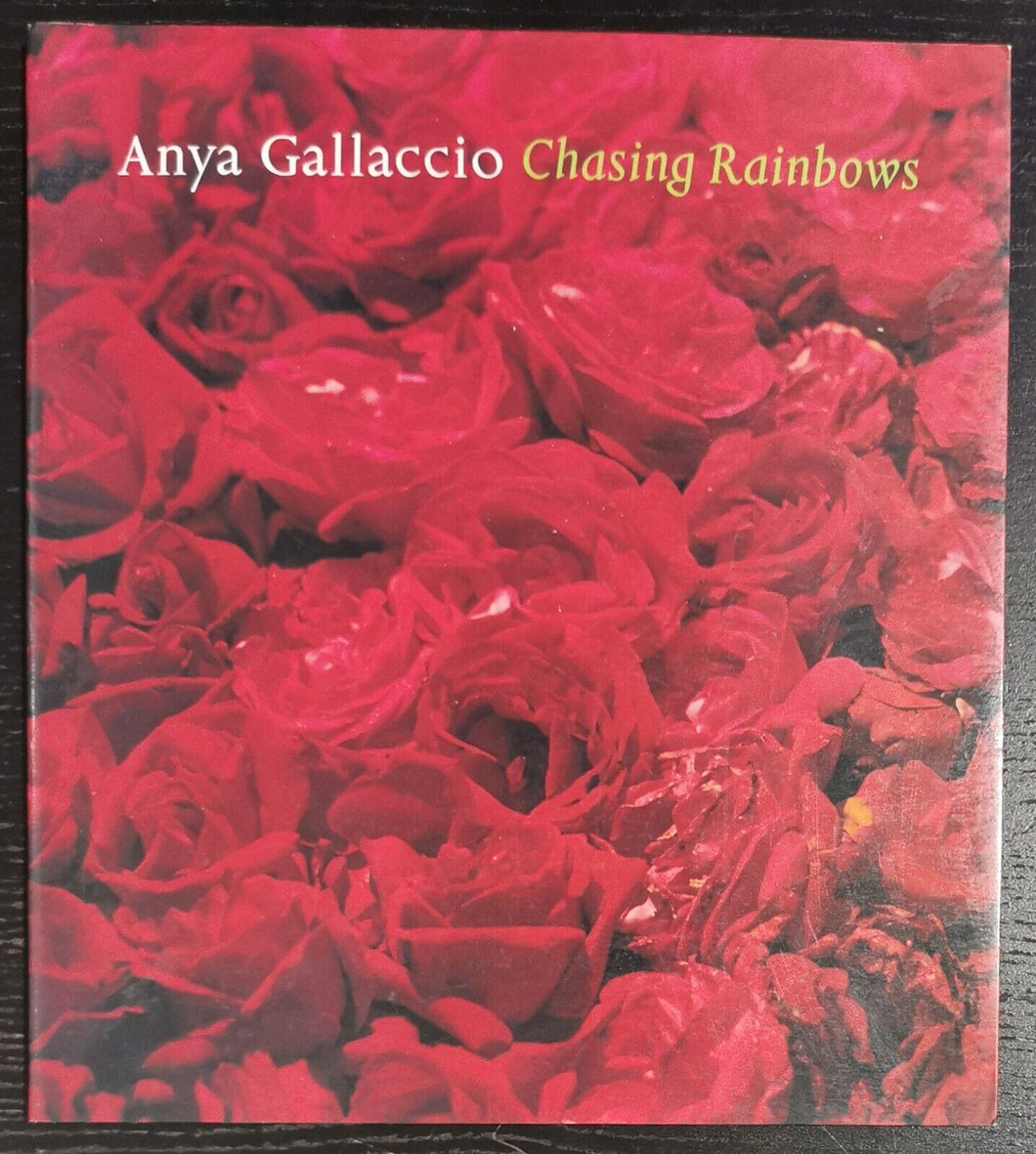 1999 Chasing Rainbows by Anya Gallaccio