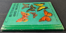 Load image into Gallery viewer, Butterflies And Moths by Richard A. Martin (1958, Little Golden Book)
