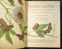 Load image into Gallery viewer, Butterflies And Moths by Richard A. Martin (1958, Little Golden Book)
