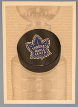 Load image into Gallery viewer, Toronto Maple Leafs &quot;In The Game&quot; #TH-17 Franchise History Card
