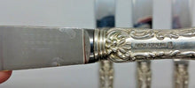 Load image into Gallery viewer, Pompadour By Birks Sterling Silver 9 1/2&quot; Dinner Knife Set of 4
