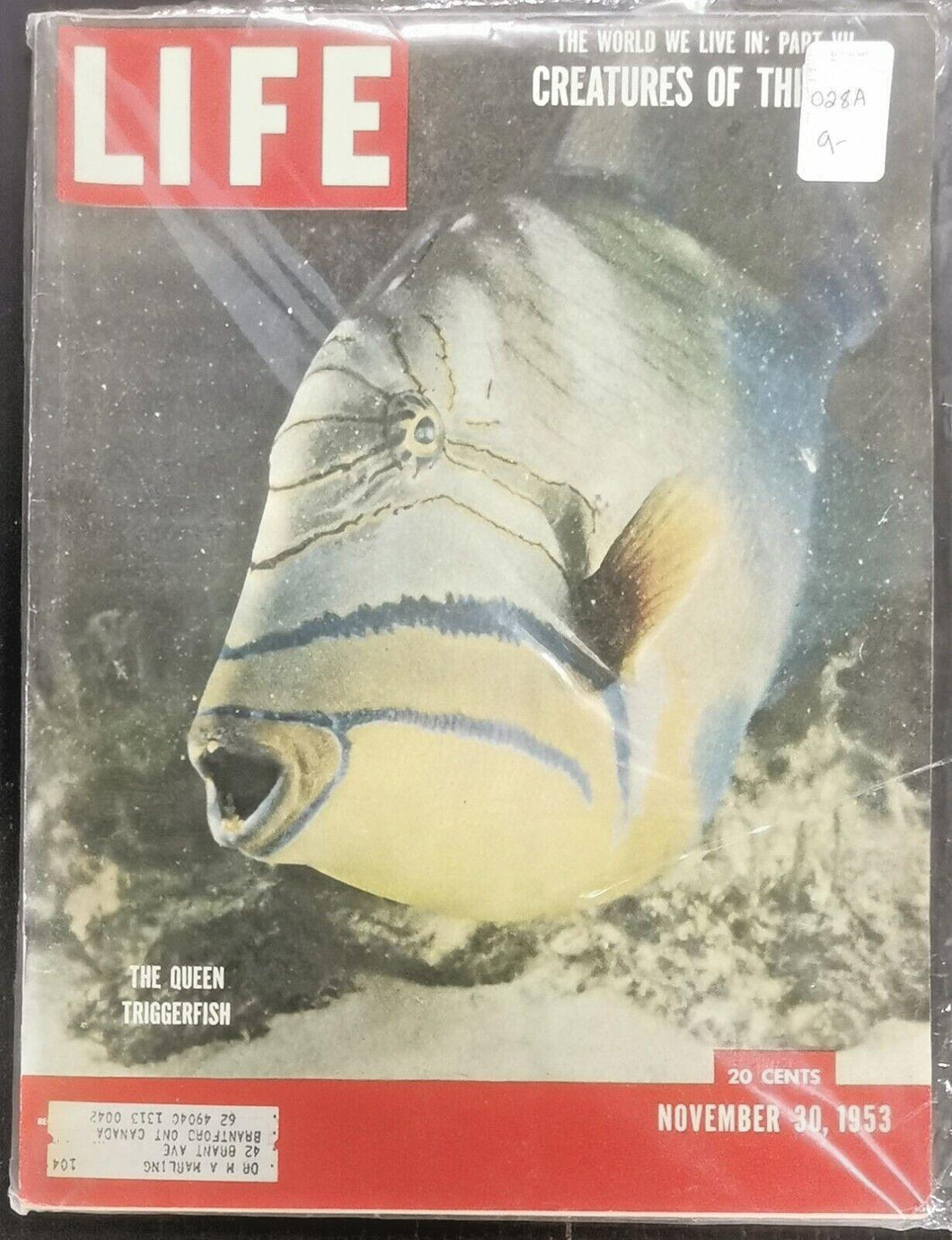 Life Magazine Issued 1953 Nov 30