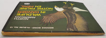 Load image into Gallery viewer, 1970, 1973 Sticker Book Lot of 2 Complete, Wild Life, The Arctic
