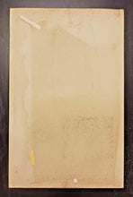 Load image into Gallery viewer, 1970s World Wide Wrestling Coming Soon McGuire Twins Promo 14&quot; x 22&quot; Poster
