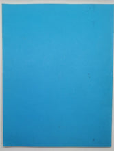 Load image into Gallery viewer, 1624 Hieroglyphical Figures by Nicholas Flammel
