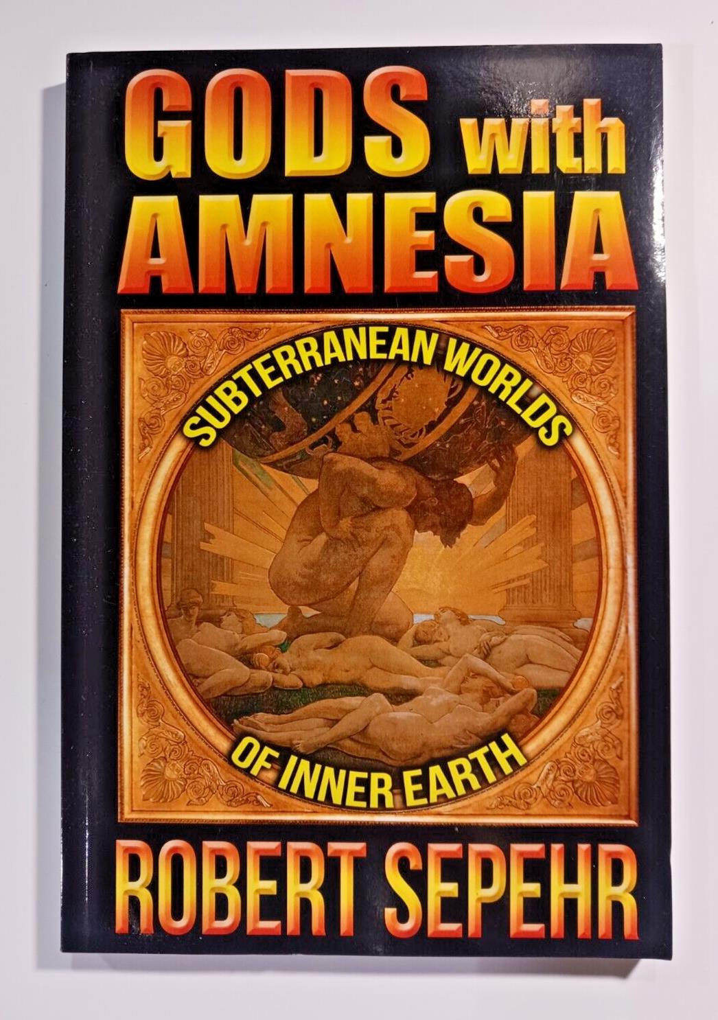Gods with Amnesia: Subterranean Worlds of Inner Earth Paperback By Robert Sepehr