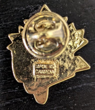 Load image into Gallery viewer, Rare 10 Embroidered Vintage Patch Lot + Ski-doo sticker + Oshawa Pin
