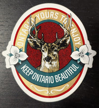 Load image into Gallery viewer, Rare 10 Embroidered Vintage Patch Lot + Ski-doo sticker + Oshawa Pin
