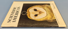 Load image into Gallery viewer, Dec 1981 Scientific American - Barn Owl Hearing - Vintage Science Magazine
