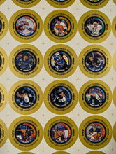 Load image into Gallery viewer, 1997-99 NHL Hockey Collectible Medallion Uncut Metal Sheet Golden Frame
