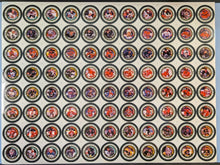 Load image into Gallery viewer, 1996-97 NHL Hockey Collectible Medallion Uncut Metal Sheet Black Frame
