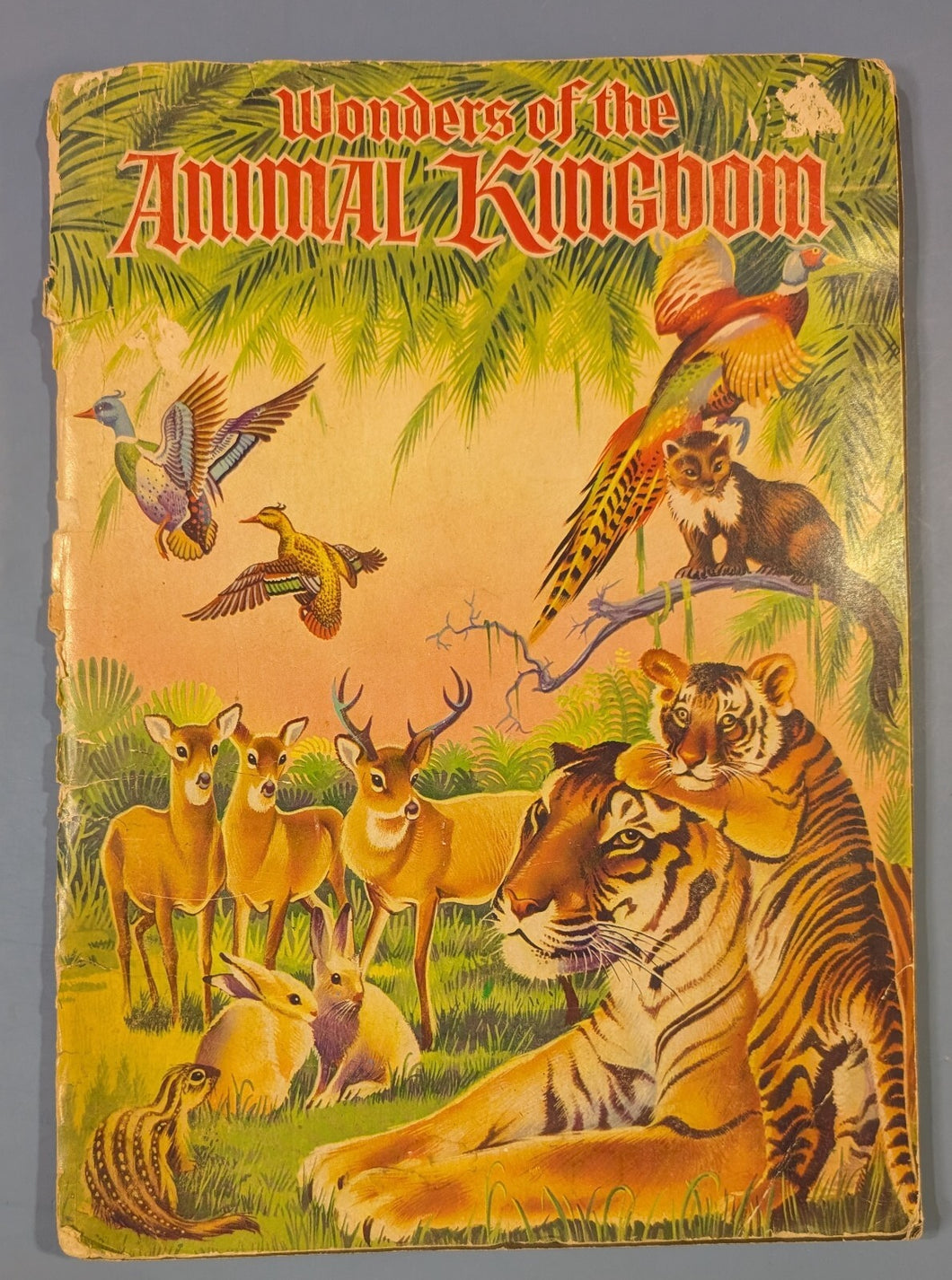 Wonders of the Animal Kingdom Illustrated Wildlife Animals Sticker Book COMPLETE