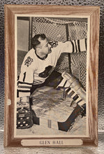 Load image into Gallery viewer, Vintage 1964-67 Glen Hall Chicago Blackhawks Hockey Goalie Beehive Photo
