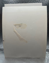 Load image into Gallery viewer, 1970’s 8” x 10” Greg Gagne AWA Promotional Photograph.
