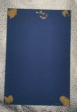 Load image into Gallery viewer, 1934 Beehive Group 1 Hockey Photo Phil Stein Toronto Maple Leafs
