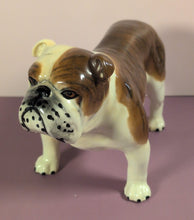 Load image into Gallery viewer, Vintage Standing Brindle and White English Bulldog Ceramic Figurine Statue
