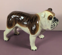 Load image into Gallery viewer, Vintage Standing Brindle and White English Bulldog Ceramic Figurine Statue
