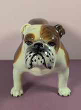 Load image into Gallery viewer, Vintage Standing Brindle and White English Bulldog Ceramic Figurine Statue
