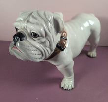 Load image into Gallery viewer, Vintage White Ceramic English Bulldog Figurine Dog Statue with Brown Collar
