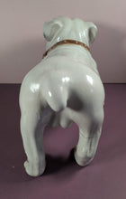 Load image into Gallery viewer, Vintage White Ceramic English Bulldog Figurine Dog Statue with Brown Collar
