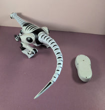 Load image into Gallery viewer, WowWee Roboraptor White &amp; Black Robotic Dinosaur Toy with Remote Control
