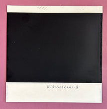 Load image into Gallery viewer, Shaun Cassidy Autographed &amp; In-Person Polaroid Type-1 Photo w/ Ron Palillo
