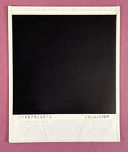 Load image into Gallery viewer, Signed Type-1 Polaroid Photo James McKinney &amp; Kathy Kuchen Country Western
