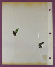 Load image into Gallery viewer, Marcel Marceau "Bip" Signed Autograph &amp; Flower Sketch on Program Page 1988
