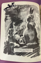 Load image into Gallery viewer, Walt Disney's Thumper A Little Golden Book (D119) Vintage 1973
